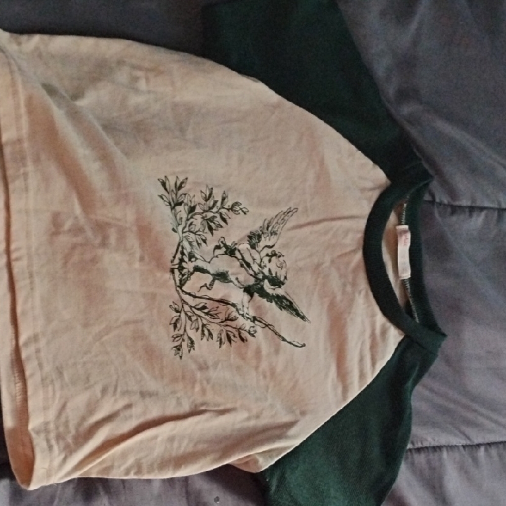 ROMWE Green and Cream Short Sleeve Tee
